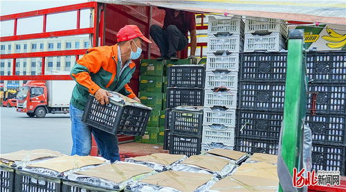 首衡高碑店農副產品物流園 邁向現代食品商貿物流產業集群的典范