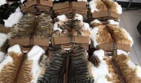 筑牢運(yùn)輸防線，斬?cái)嗪谏称锋湕l——農(nóng)業(yè)農(nóng)村部新政為流浪動(dòng)物撐起保護(hù)傘