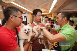 東莞動真格 犬只寄養立法，文明養犬再上“緊箍咒”