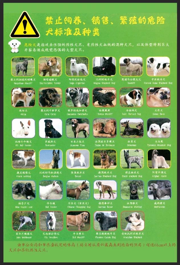 新規(guī)出臺(tái)！常州犬主注意，規(guī)范寄養(yǎng)守護(hù)愛犬健康安全